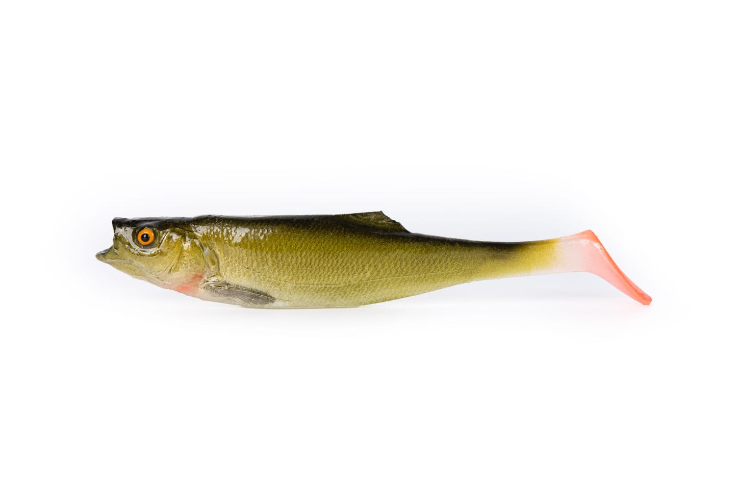 Laube (10cm)