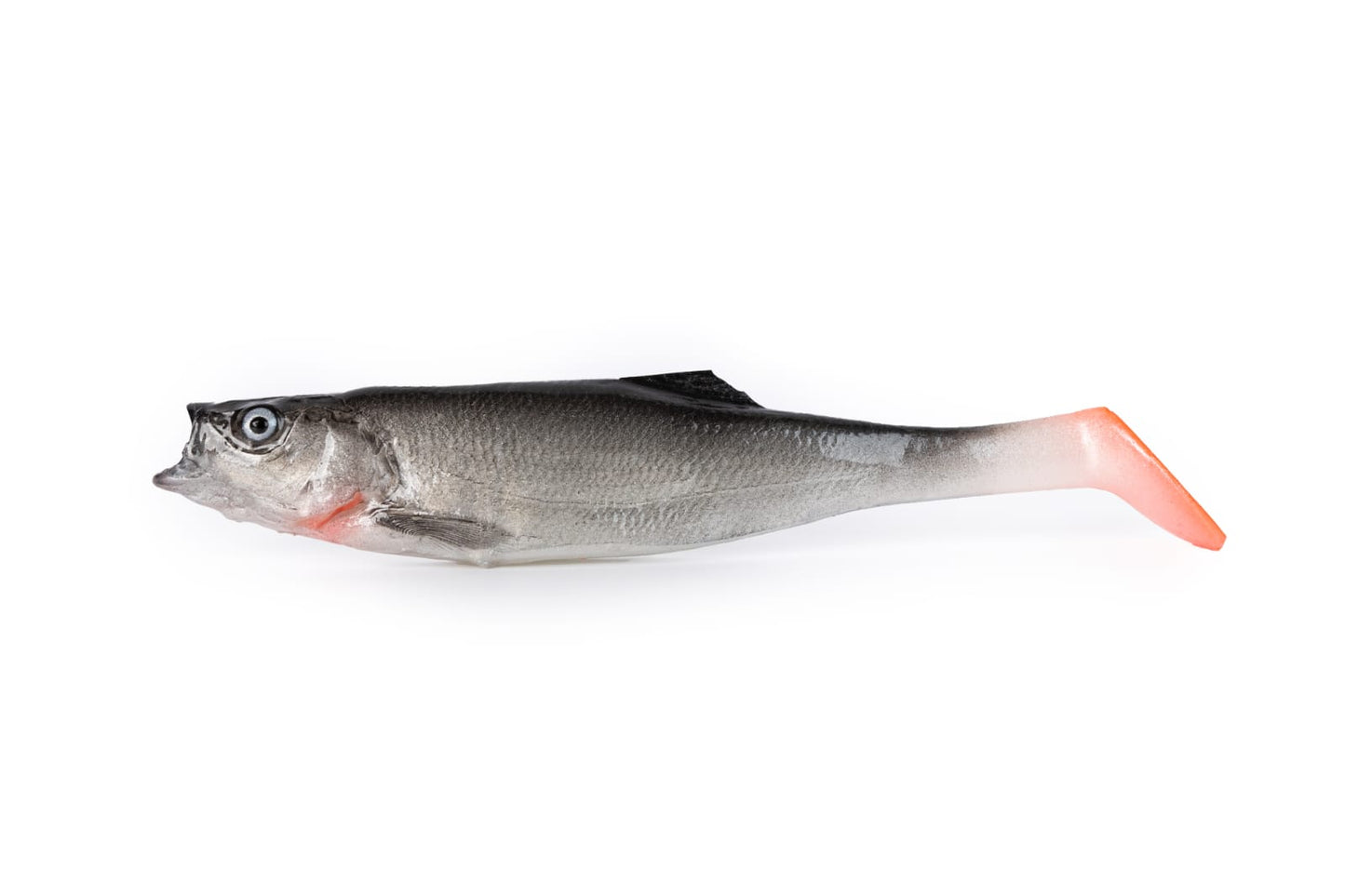 Laube (10cm)